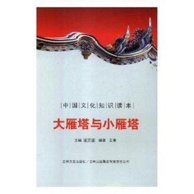 中国知识读本：大雁塔与小雁塔 文教学生读物 王柬 新华正版