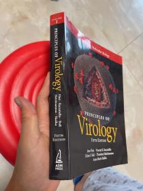 现货  Principles of Virology, Volume 1: Molecular Biology    英文原版  病毒学原理  现代细胞生物学 免疫学 病毒学