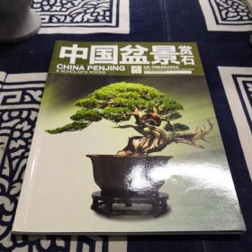 中国盆景赏石：2013中国盆景活动回顾专辑