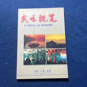 武鸣概览（中英文对照）