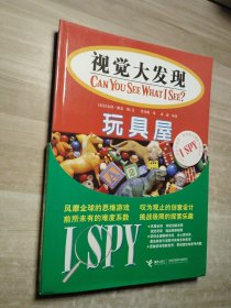 I SPY视觉大发现系列(全五册)
