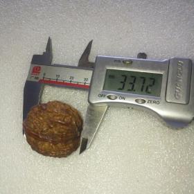畸形的沈阳鸡心核桃单籽