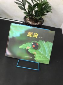 中国原创图画书：瓢虫【精装儿童绘本】