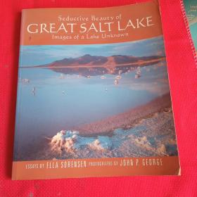 EDUCTIVE BEAUTY OF GREAT SALT LAKE大盐湖的教育美