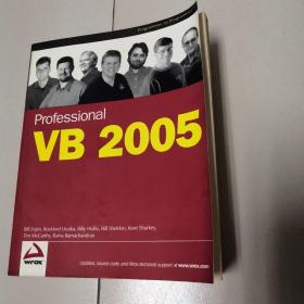 Professional VB 2005 (Programmer to Programmer)