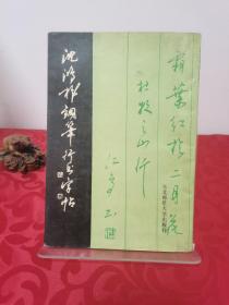 沈鸿根钢笔行书字帖