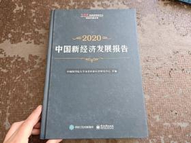 中国新经济发展报告2020 正版现货 当天发货