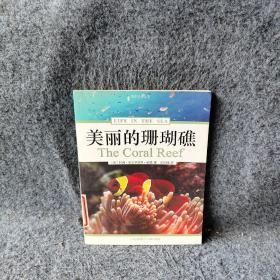 美丽的珊瑚礁