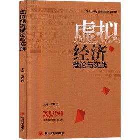 新华正版 虚拟经济理论与实践 张红伟 9787569020571 四川大学出版社