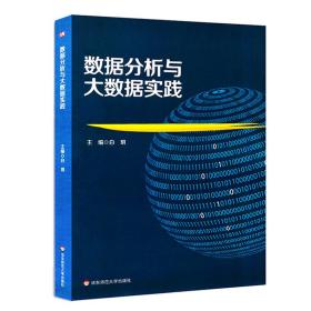 新华正版 数据分析与大数据实践 白玥 9787576000894 华东师范大学出版社