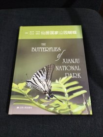 仙居国家公园蝴蝶
