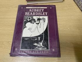 The Art of Aubrey Beardsley          比亚兹莱的艺术，多插图，和王尔德相得益彰的天才，董桥、鲁迅 都爱，精装，超大16开。20岁默默无闻，在保险公司任职；23岁声名鹊起，一时无两；26岁生命戛然而止，留下一场艺术革命