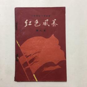 红色风暴:江西革命斗争故事.第六集