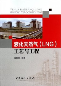 液化天然气(LNG)工艺与工程