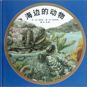 全新正版 海边的动物(精) 浅井稔 9787554500231 河北教育出版社