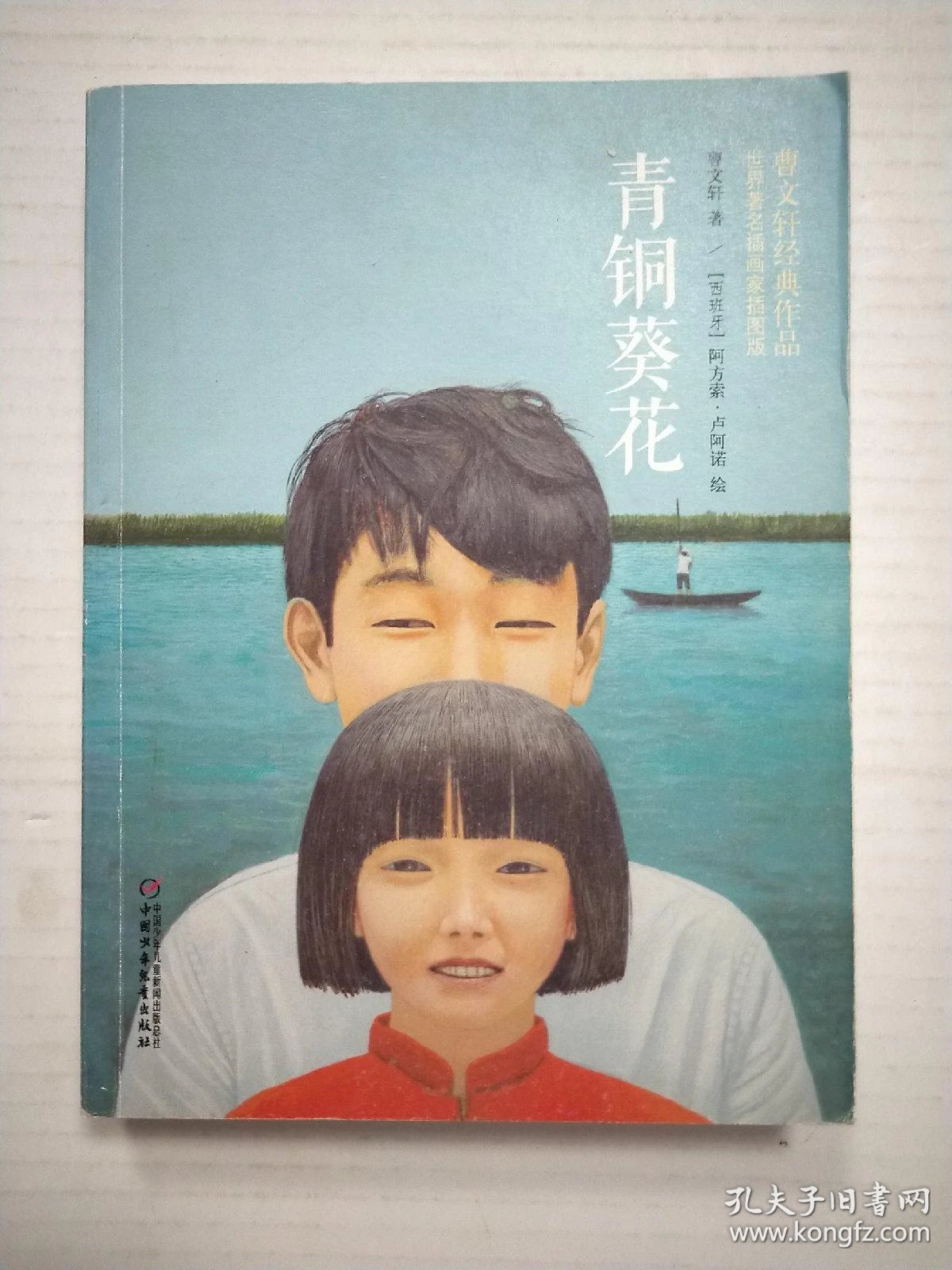 青铜葵花(世界著名插画家插图版)