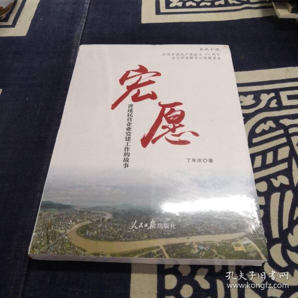 宏愿-讲述民营企业党建工作的故事作者：丁年庆出版社：人民日报出版社出