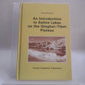 An Introduction to Saline Lakes on the Qinghai-Tibet Plateau 附地图一张