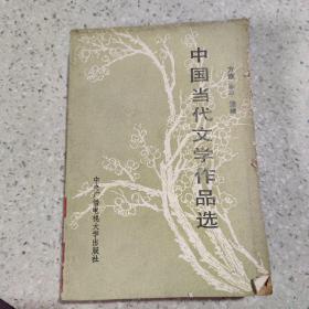 中国当代文学作品选