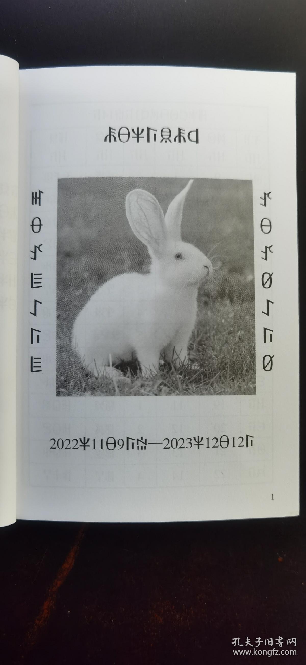 彝族书籍彝族历典20232027彝族日历彝文书