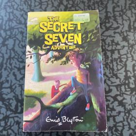 the secret seven adventure