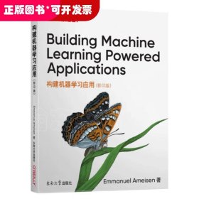 构建机器学习应用（影印版）