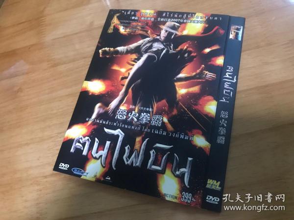 拳霸:火云盗(2007)