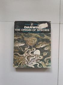 DARWIN THE ORIGIN OF SPECIES(达尔文：物种起源）英文版
