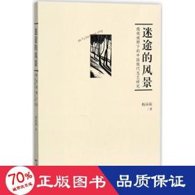 迷途的风景 中国现当代文学理论 杨汤琛