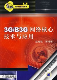3G/B3G网络核心技术与应用