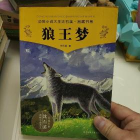 动物小说大王沈石溪品藏书系 狼王梦  09年一版2010年印