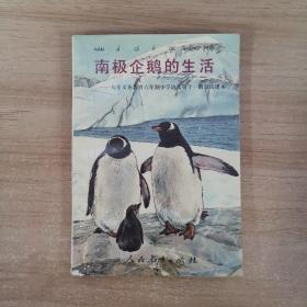 南极企鹅的生活