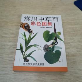 常用中草药彩色图集