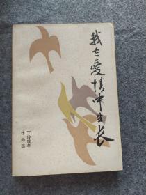 丁玲晚年作品选