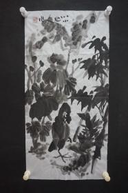 122b21 著名画家、花鸟师承李苦禅大师、中国美术家协会北京分会会员—钱卫国  花鸟国画作品一幅 ，纸本软片，尺寸约69*34厘米！
