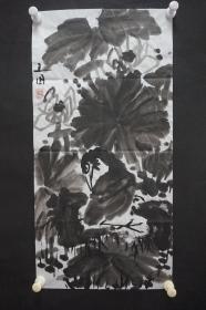 122b18 著名画家、花鸟师承李苦禅大师、中国美术家协会北京分会会员—钱卫国  花鸟国画作品一幅 ，纸本软片，尺寸约69*34厘米！