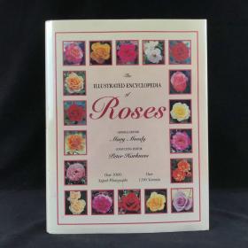 玫瑰图解百科全书 1000余幅彩色插图 精装大16开