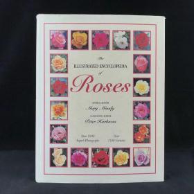 玫瑰图解百科全书 1000余幅彩色插图 精装大16开开