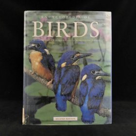 鸟类百科全书 350余幅彩色插图 精装大16开