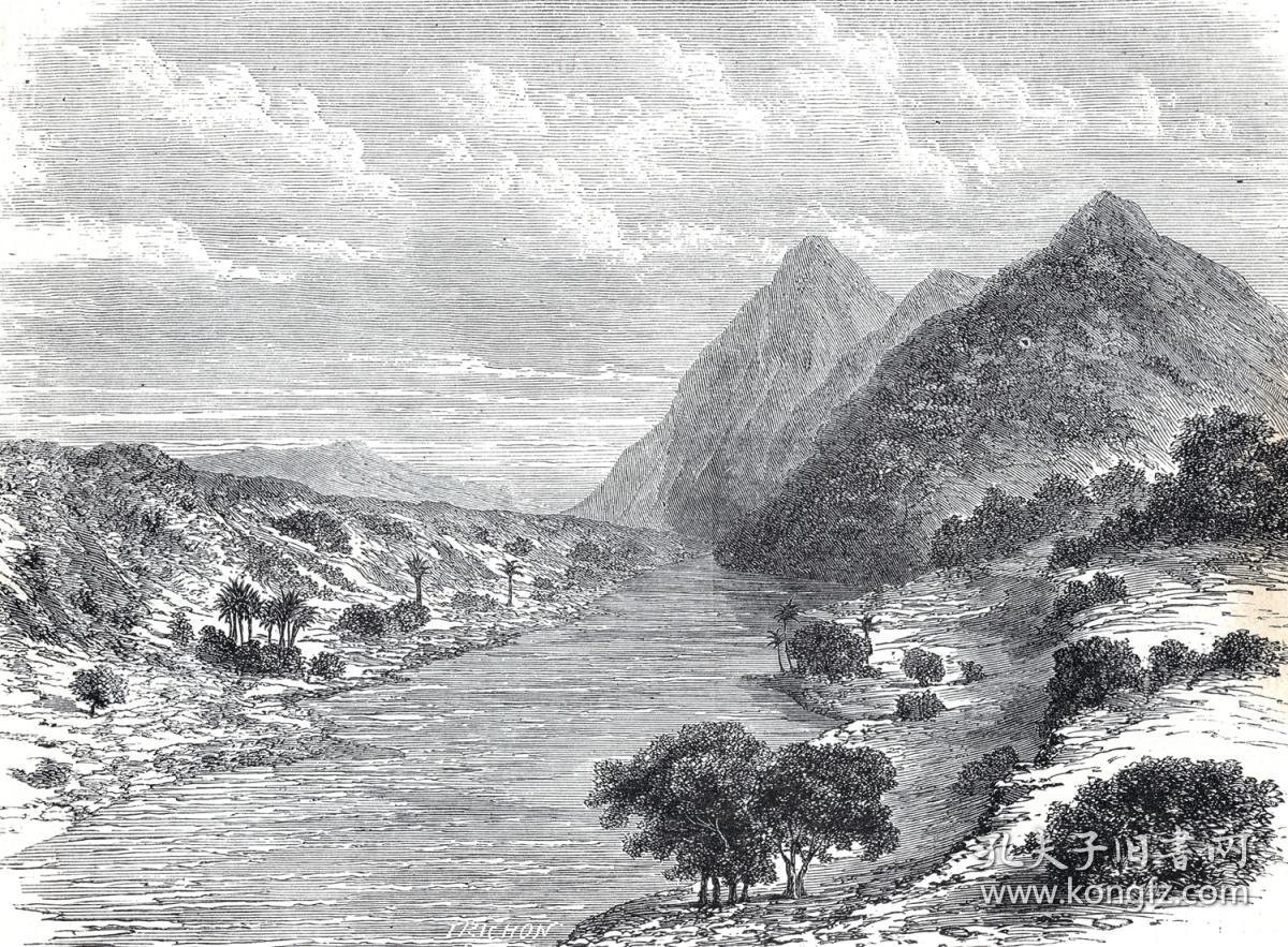 19世纪木刻版画风景画白尼罗河和青尼罗河的交汇处lenilaudessusdu