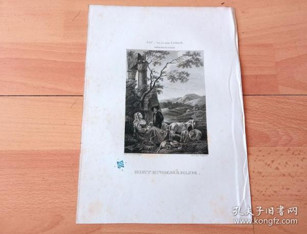 曲谱牧场情歌_关山牧场(4)