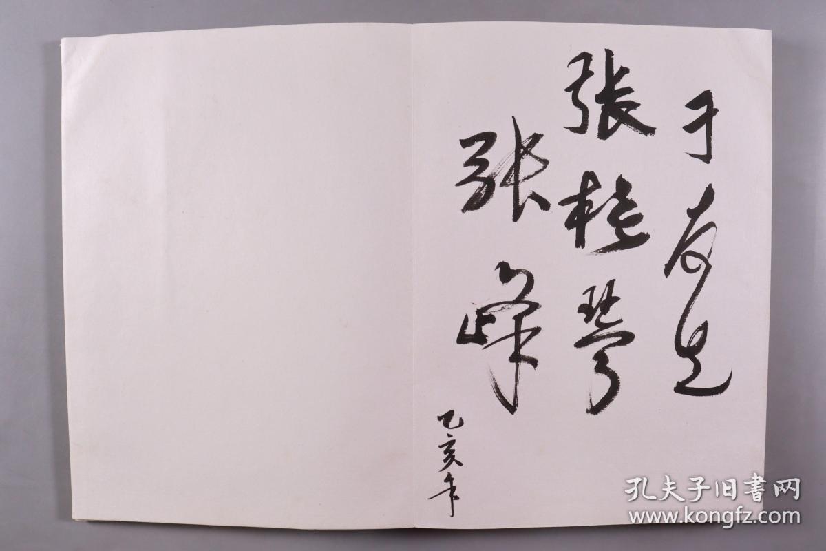 1995 HXTX278419 1995-hxtx278419