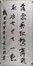 书法家 赵立涛 壬寅年书法作品《落霞与孤鹜齐飞，秋水共长天一色》一幅（纸本软片，约8.6平尺，钤印：赵立涛）HXTX297873