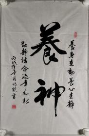 书法家 辛兆钦 丙戌年书法作品《养神》一幅（纸本软片，约2.9平尺，钤印：辛兆钦印）HXTX297871