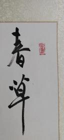 严志生书法横幅 春草青青万里馀，严志生，1959年生，江苏南通人，无锡书法专科学校结业，现为省书协会员，市书协会员，崇川区老年大学书法老师，港闸开发区书法协会会长，润苗书法培训班辅导老师，唐闸书画院特聘书法家，江通书画苑特聘书法家、艺术委员会委员。