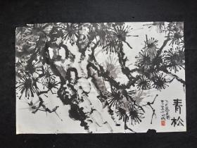 齐卫东：著名画家1985年花鸟画软件【青松】一幅，画心尺寸：102*67厘米