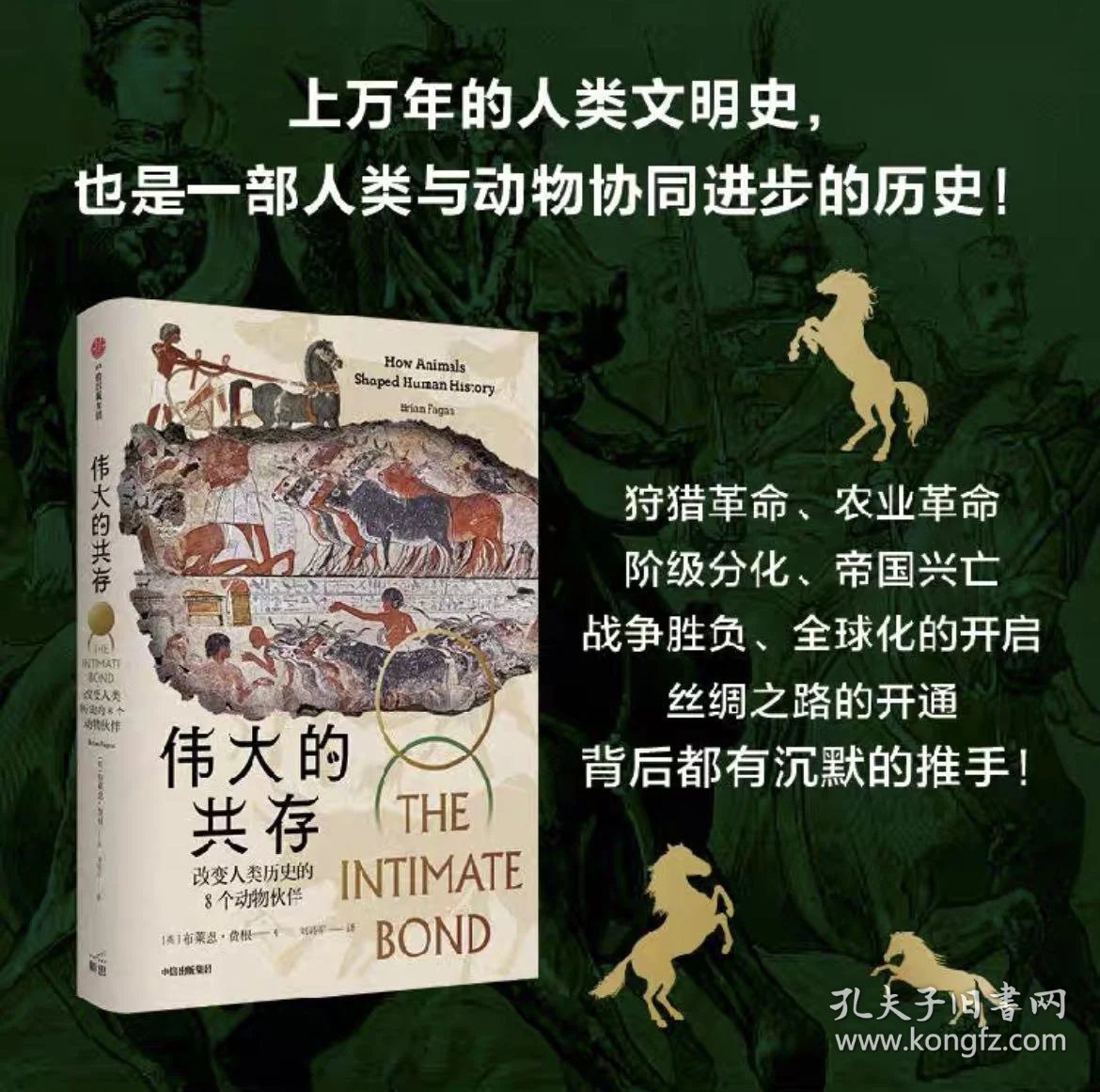 幕后视觉