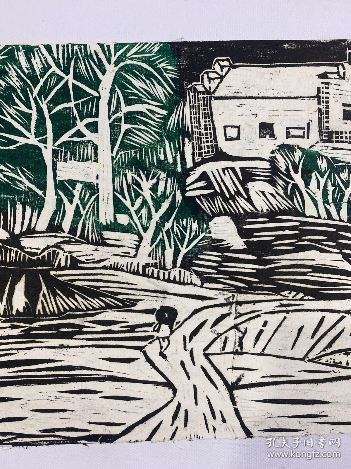 45x30cm
