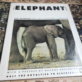 大象的书  THE ELEPHANT BOOK  超大开本精装