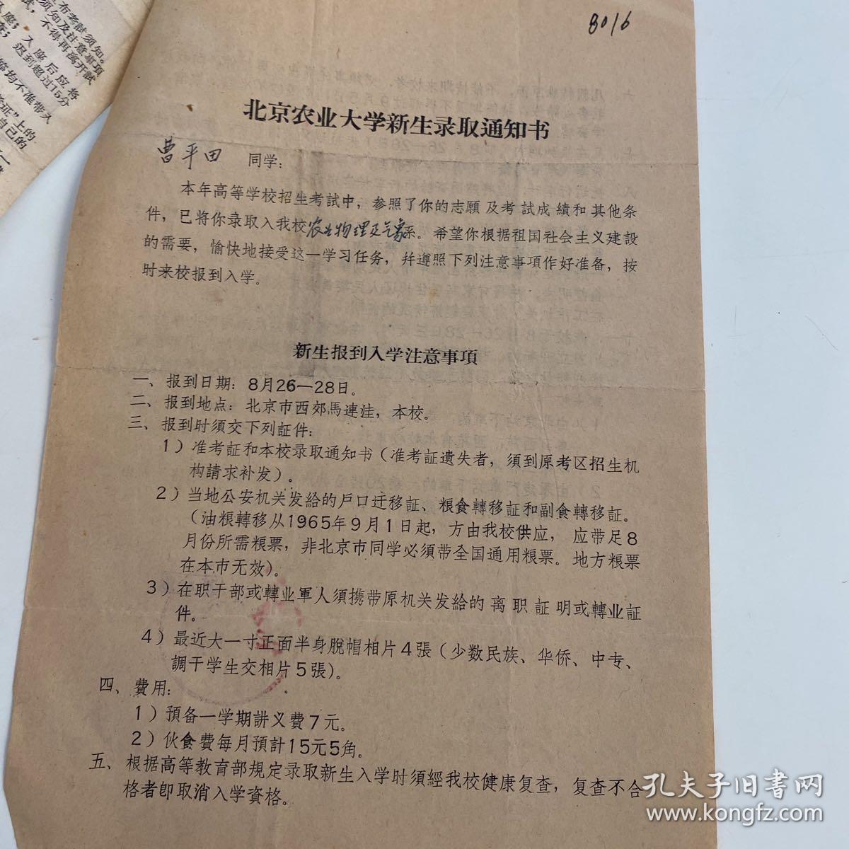 1965 G1013 1965-g1013